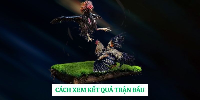 Cách xem kết quả trận đấu