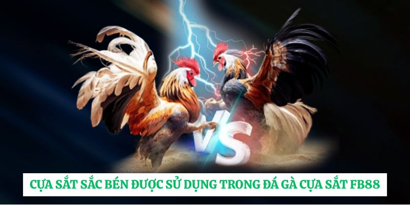 Cựa sắt sắc bén được sử dụng trong đá gà cựa sắt FB88