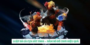 Luật Đá Gà Cựa Sắt FB88 – Nắm Rõ Để Chơi Hiệu Quả