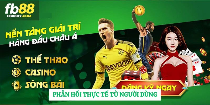 Phản hồi thực tế từ người dùng