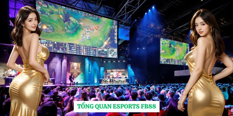 Tổng quan Esports FB88
